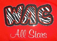 Zebra and Black Tackle Twill Applique, Rhinestone Outline and Embroidered All Stars